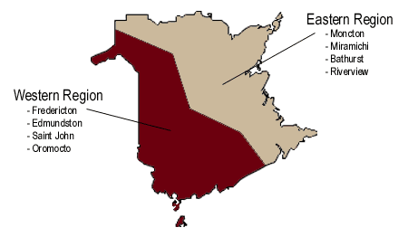 newb.gif (7280 bytes)