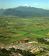 pittmeadows.jpg (26891 bytes)